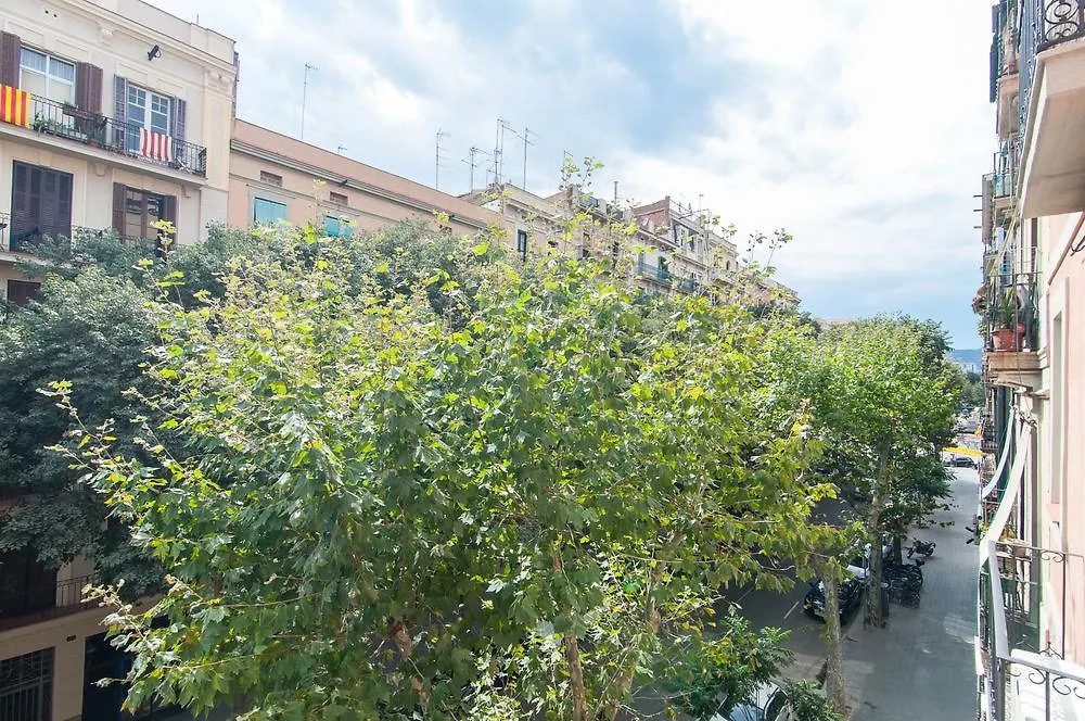 Trivao Sant Antoni Market Barcelona